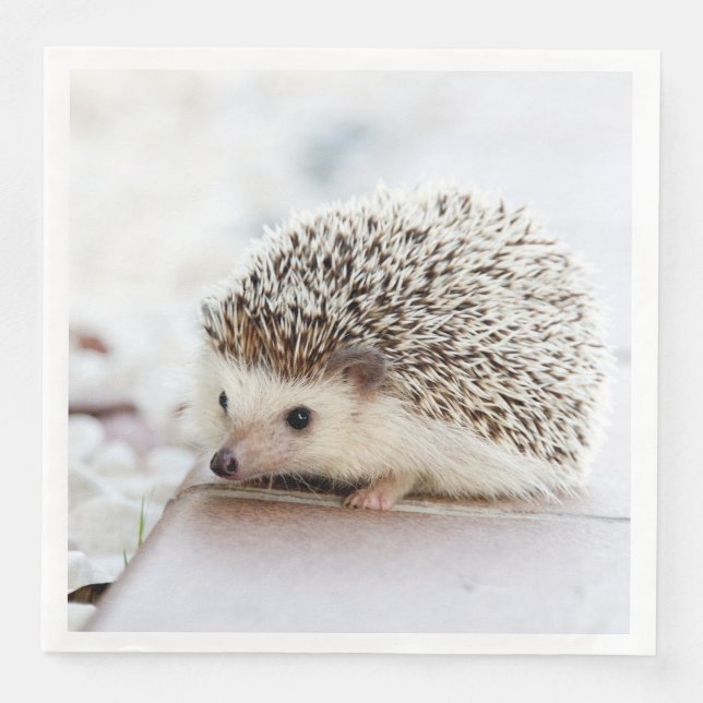 Serviette En Papier Animal de Cute (Devant)