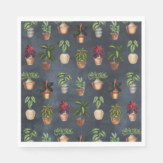 Serviette En Papier Aquarelle Pointe Plante Terracotta Pots Rustique (Devant)