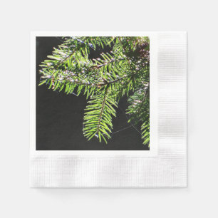 Serviette En Papier Arbre