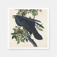 Art de la nature de l'oiseau corbeau vintage Audub