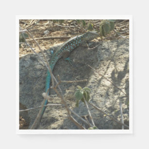 Serviette En Papier Aruba Whiptail Lizard Photographie d'animaux tropi