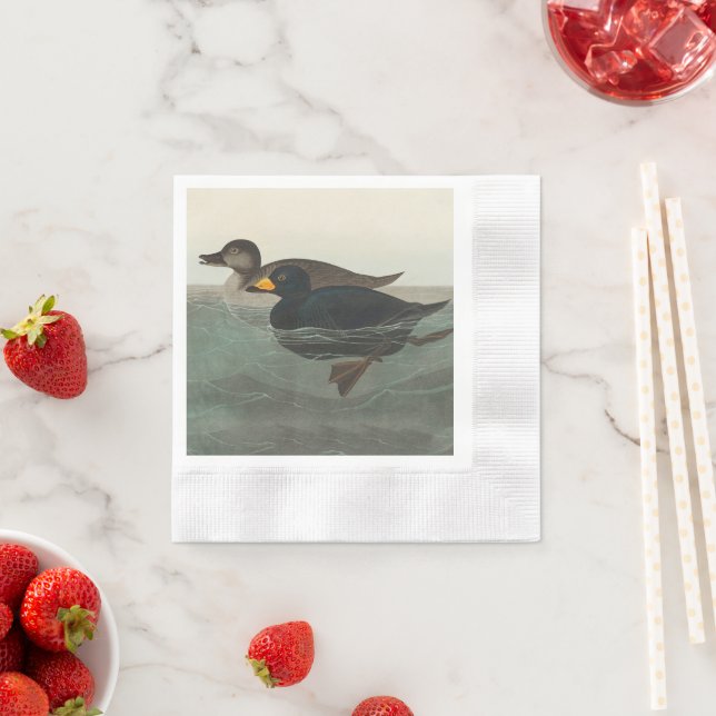 Serviette En Papier Audubon American Scoter Duck Classic (En situation)
