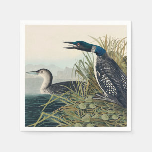 Serviette En Papier Audubon Bird Loon Diver Classic