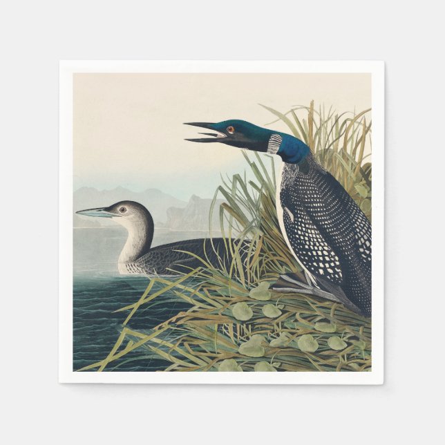 Serviette En Papier Audubon Bird Loon Diver Classic (Devant)