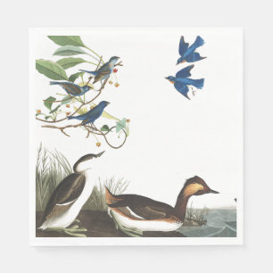 Serviette En Papier Audubon Collage Oiseaux Livre de la faune