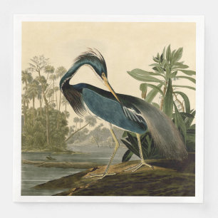 Serviette En Papier Audubon Héron de Louisiane Oiseaux Amérique Art
