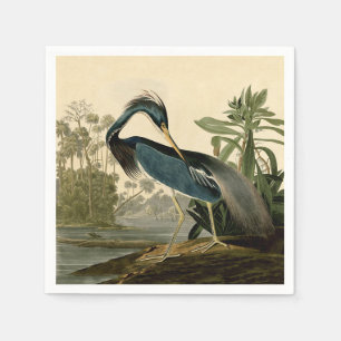 Serviette En Papier Audubon Louisiana Heron Birds America Art