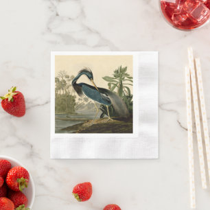 Serviette En Papier Audubon Louisiana Heron Birds America Art