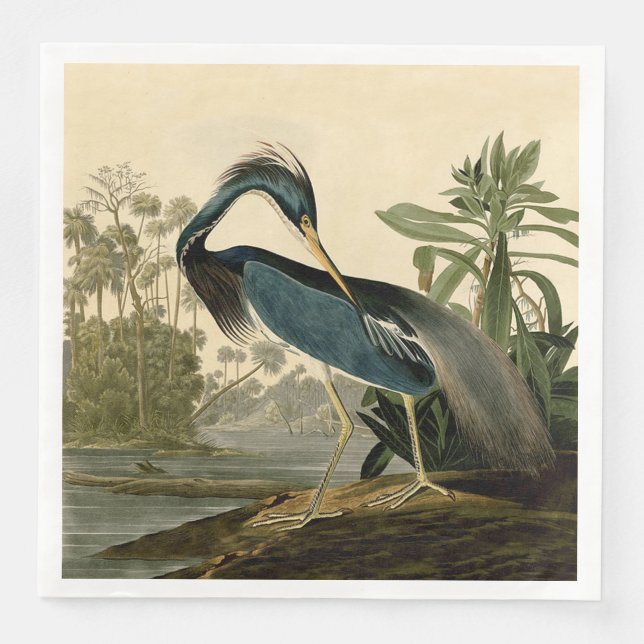 Serviette En Papier Audubon Louisiana Heron Birds America Art (Devant)