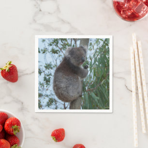 Serviette En Papier Australie Kangaroo Island Cute Koala dans un arbre