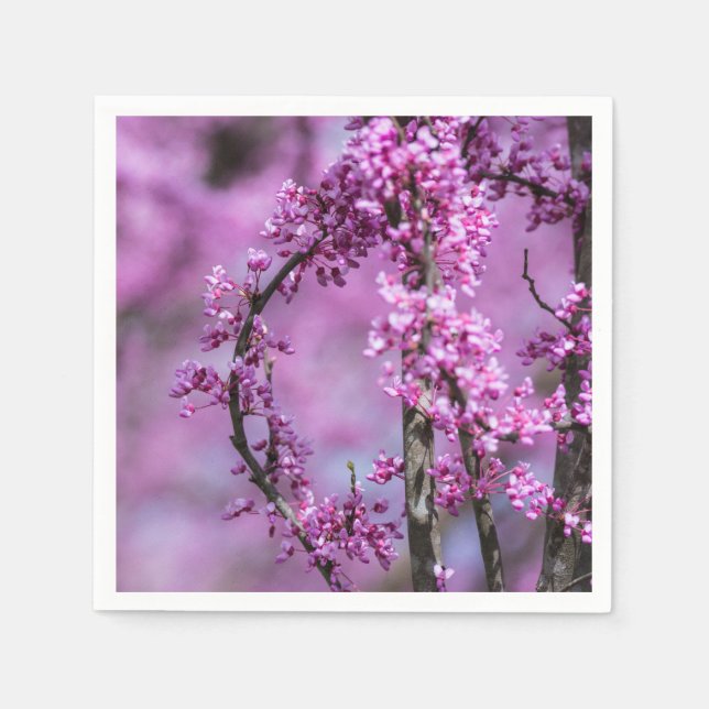 Serviette En Papier Avondale Redbud Art (Devant)