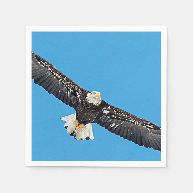 Serviette En Papier Bald Eagle en vol (Devant)