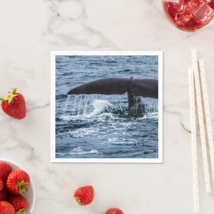 Serviette En Papier Baleine de Sperm