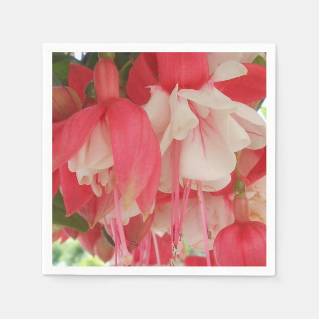 Serviette En Papier Bashkirtseff (Devant)