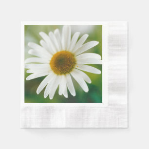 Serviette En Papier Basière oculaire blanche - Leucanthemum vulgare