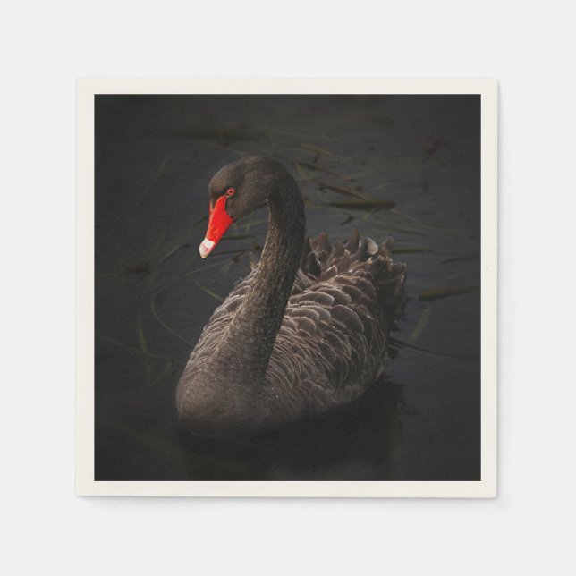 Serviette En Papier Beau cygne noir avec un bec rouge vif (Devant)