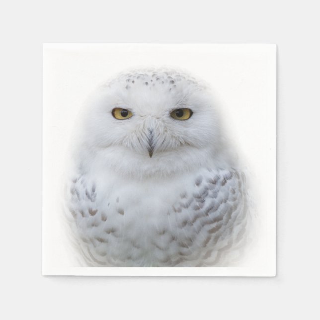 Serviette En Papier Belle, Dreamy et Serene Snowy Owl (Devant)
