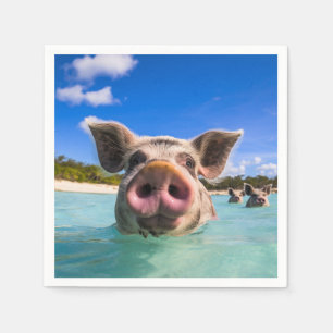 Serviette En Papier Belle natation Cochon Exuma Bahamas