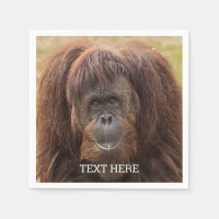 Belle photographie de Borneo Orangutan