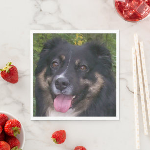 Serviette En Papier berger australien tri noir