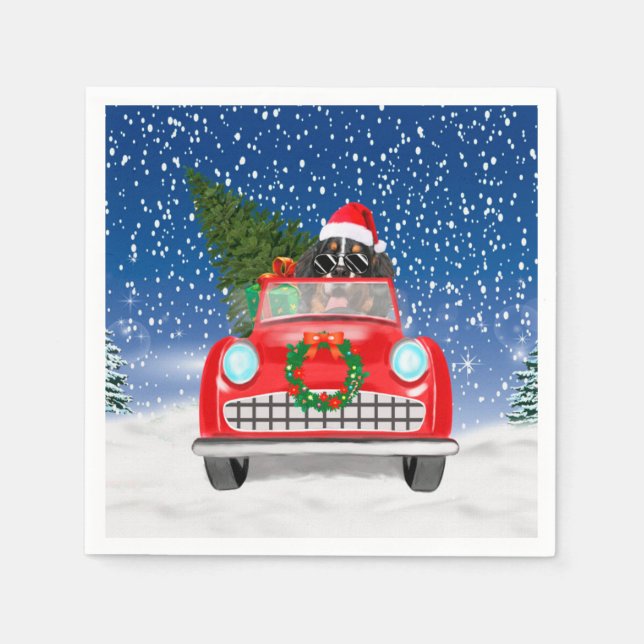 Serviette En Papier Bernois Mountain Dog Conduite Voiture En Neige Noë (Devant)