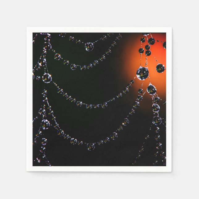 Serviette En Papier Bijoux Spiderweb serviettes (Devant)