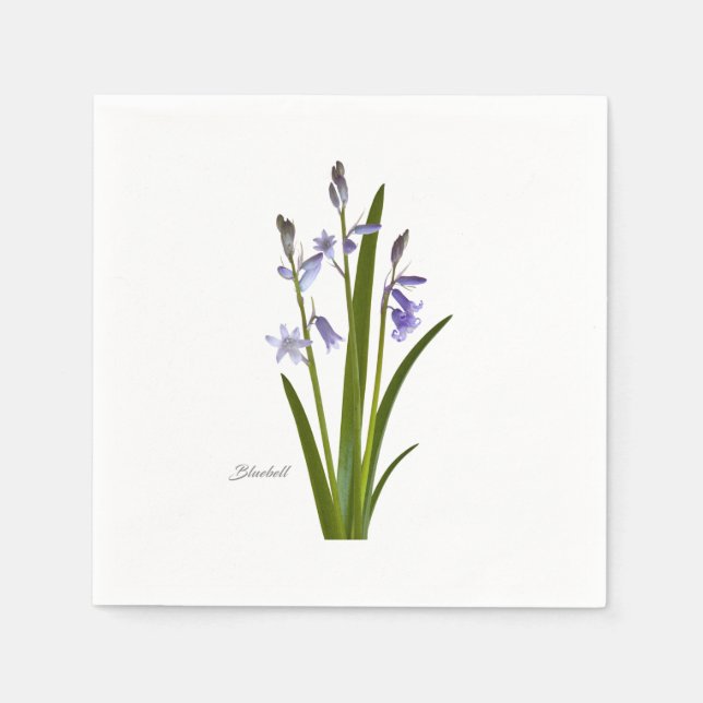 Serviette En Papier Bluebell (Devant)