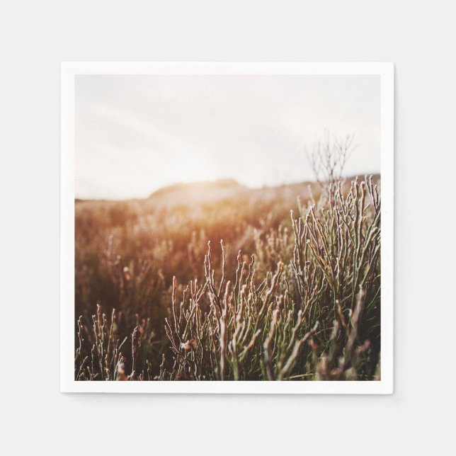 Serviette En Papier Boho Grass Field Toute Occasion Party Napkins (Devant)