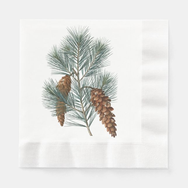Serviette En Papier Bois d'hiver rustique cônes et branches de pin (Devant)