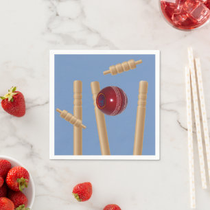 Serviette En Papier Boule De Cricket Sur Bleu Frotter Les Pompes De Cr