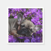 Bouledogue français fleurs French Bulldog 