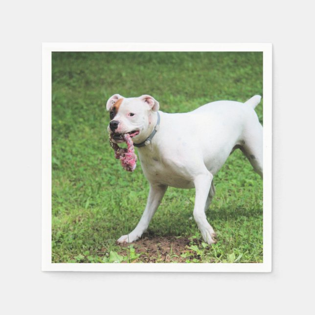 Serviette En Papier Boxer (Devant)