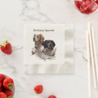 Bretagne Espagnol, Passion pour les oiseaux