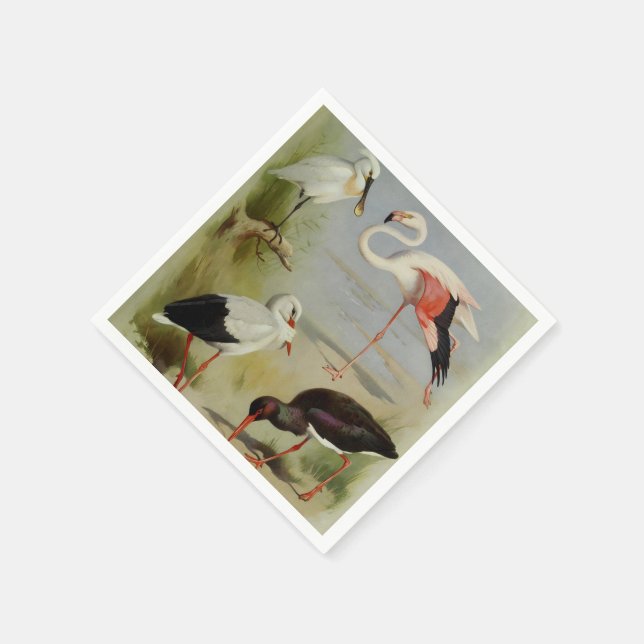 Serviette En Papier British Birds, Illustrations D'Art (Coin)