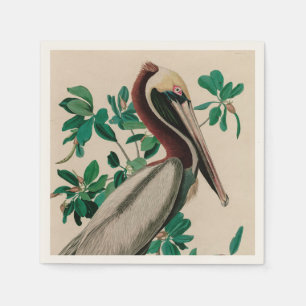Serviette En Papier Brown Pelican Birds of America Audubon
