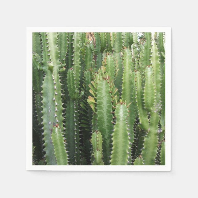 Serviette En Papier Cactus Garden (Devant)