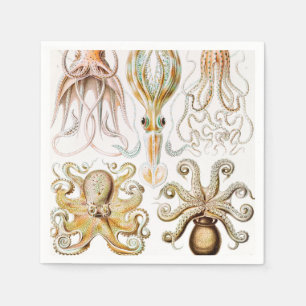 Serviette En Papier Calmar de poulpe, Gamochonia par Ernst Haeckel