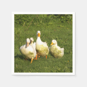 Serviette En Papier canards, vivants, prairies, animaux, ferme, vie ru