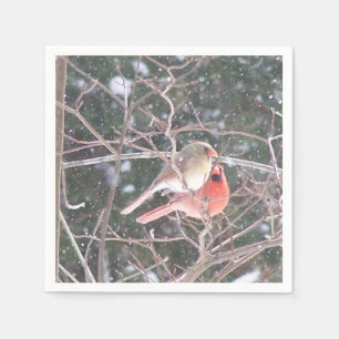 Serviette En Papier Cardinal Cocktail Napkins