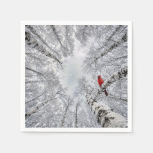 Serviette En Papier Cardinal rouge dans une forêt de bouleaux blancs h