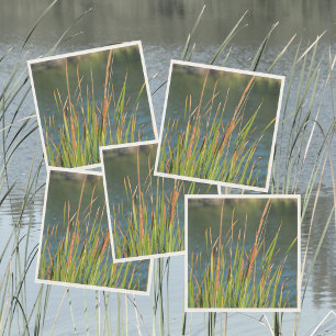 Serviette En Papier Cattails Waterfront Lac photographique