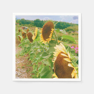 Serviette En Papier Champs de tournesol