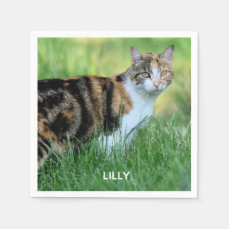 Serviette En Papier Chat brun et blanc