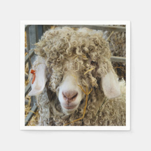 SERVIETTE EN PAPIER CHÈQUE CUTE