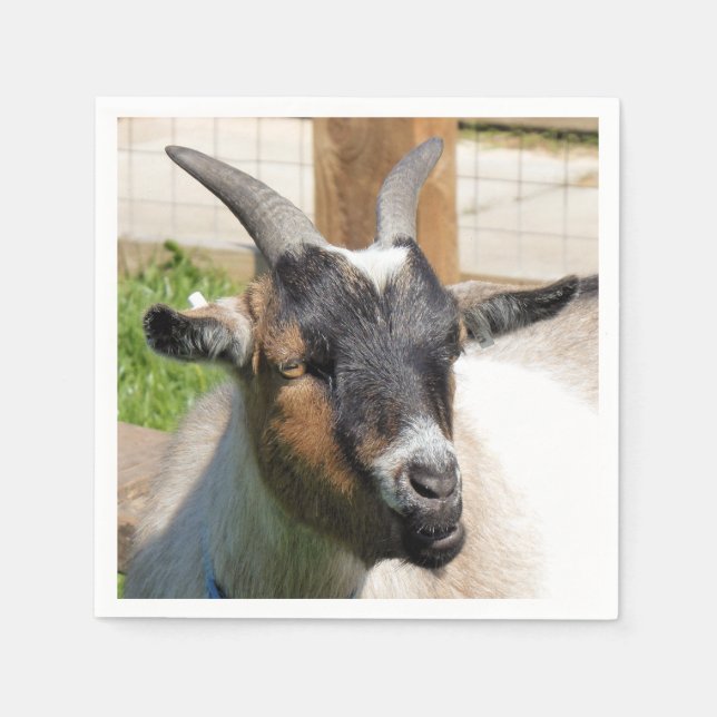 SERVIETTE EN PAPIER CHÈQUE CUTE (Devant)