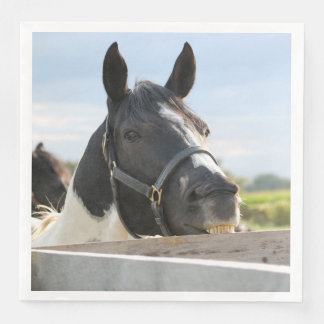 Serviette En Papier Cheval mignon mâchant sur une clôture
