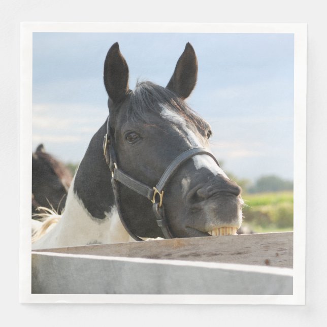 Serviette En Papier Cheval mignon mâchant sur une clôture (Devant)