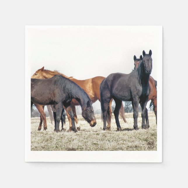 SERVIETTE EN PAPIER CHEVAUX (Devant)