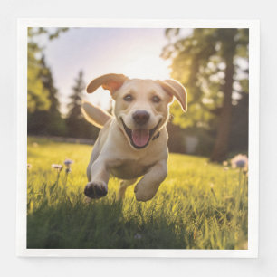 Serviette En Papier Chiabou Labrador Heureux qui Court 