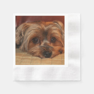 Serviette En Papier Chien Chien Chien Chien Chien Chien Chien Chien Ch